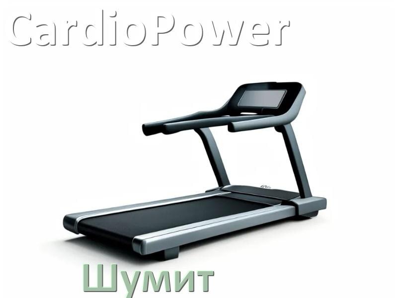 
Почему шумит беговая дорожка CardioPower гудит и свистит