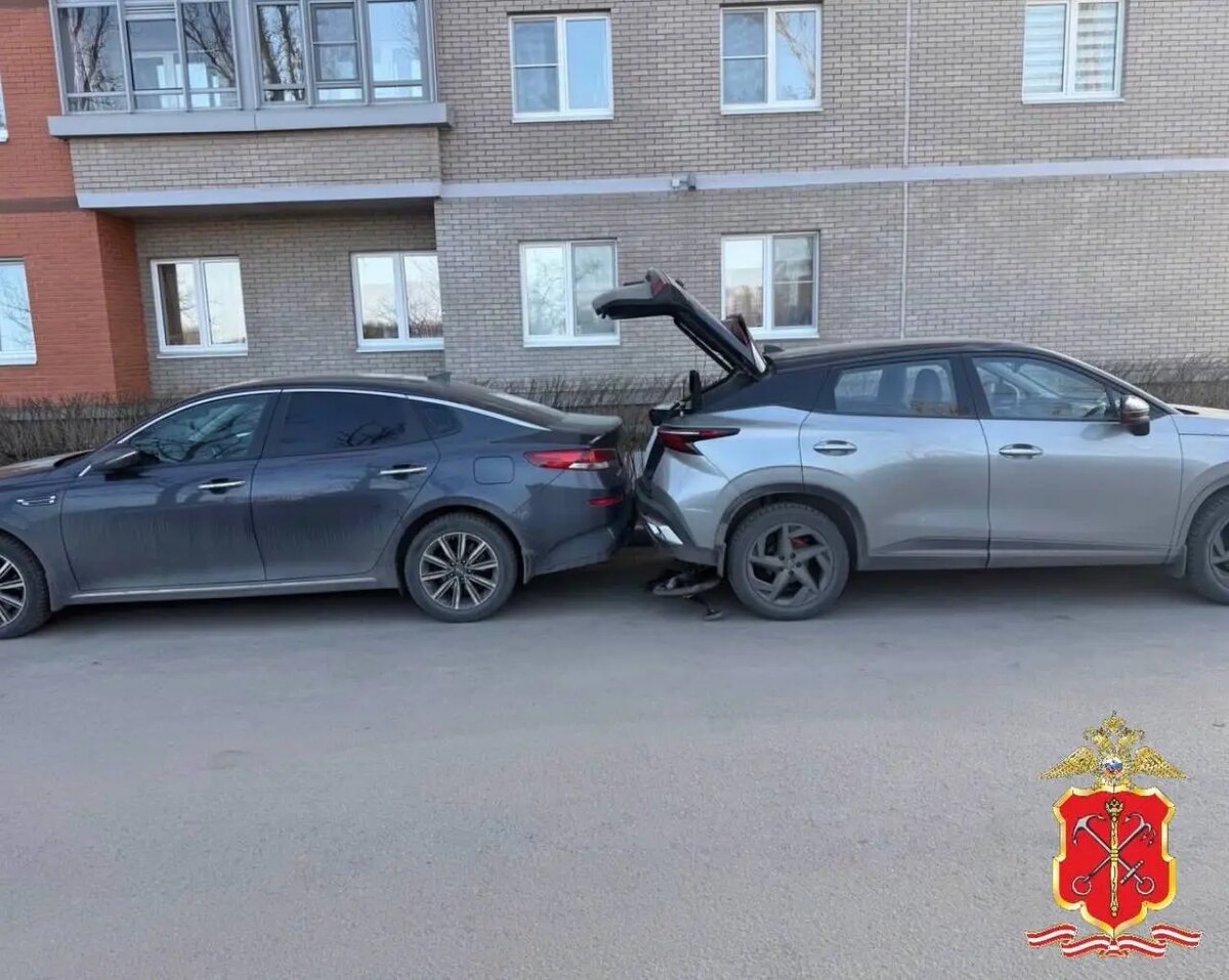    Фото: пресс-служба ГУ МВД России по Петербургу и Ленобласти