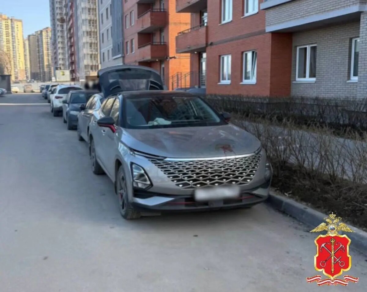    Фото: пресс-служба ГУ МВД России по Петербургу и Ленобласти