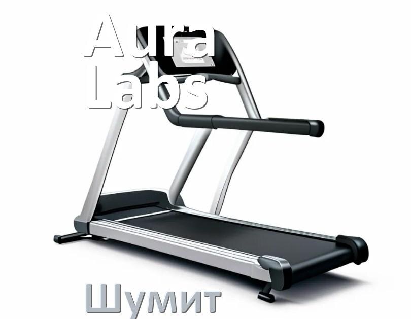 
Почему шумит беговая дорожка Aura Labs гудит и свистит