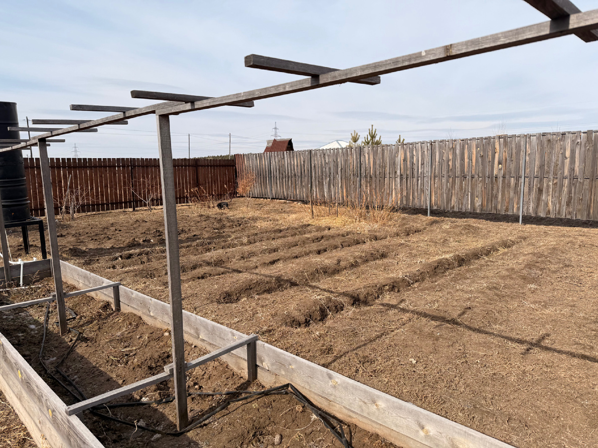 Ощущение совсем весеннее