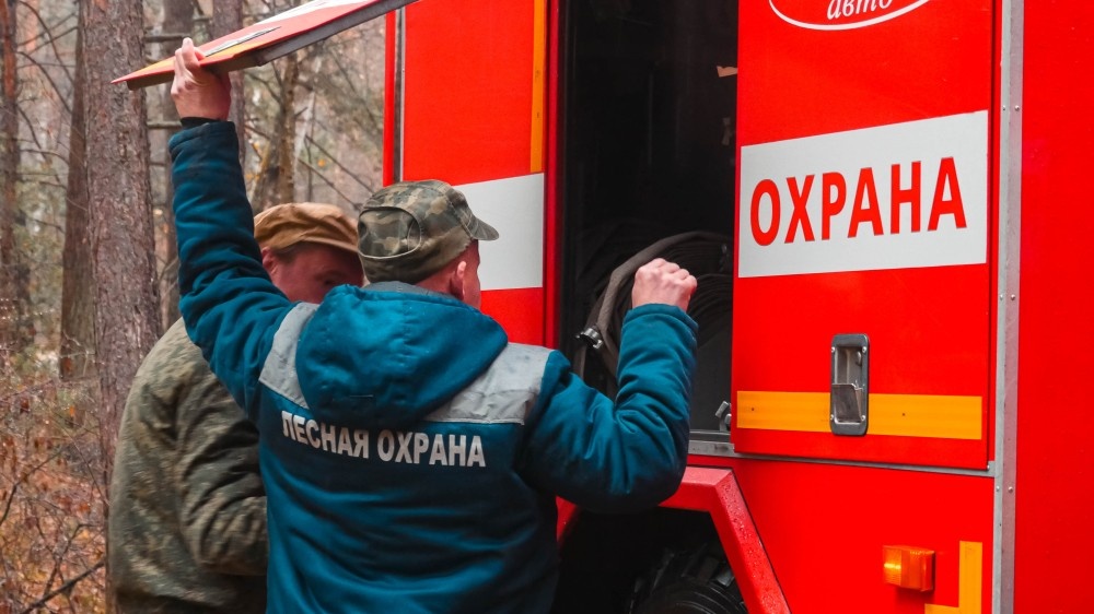    Нижегородская область присоединилась к акции «Останови огонь!»