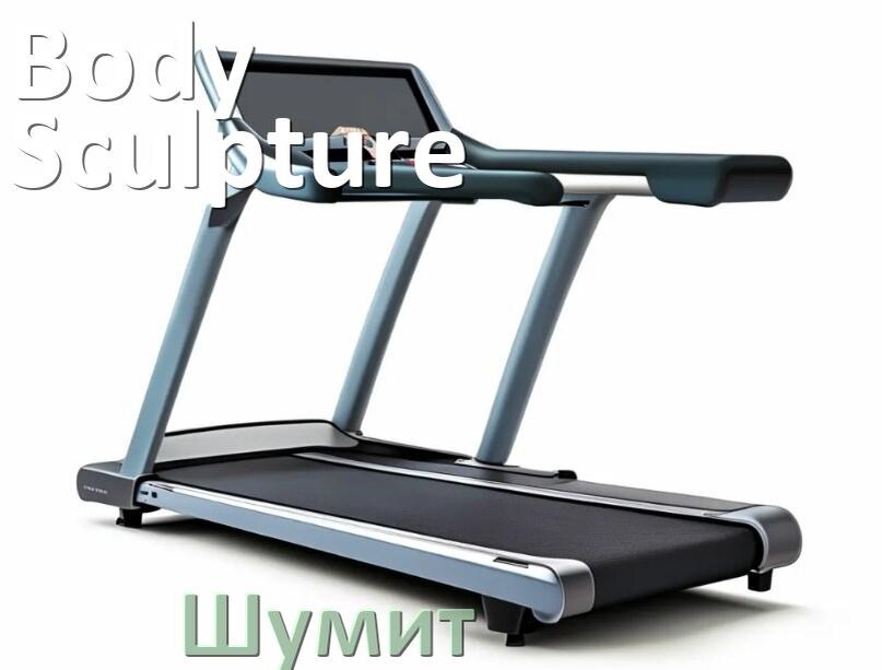 
Почему шумит беговая дорожка Body Sculpture свистит и гудит