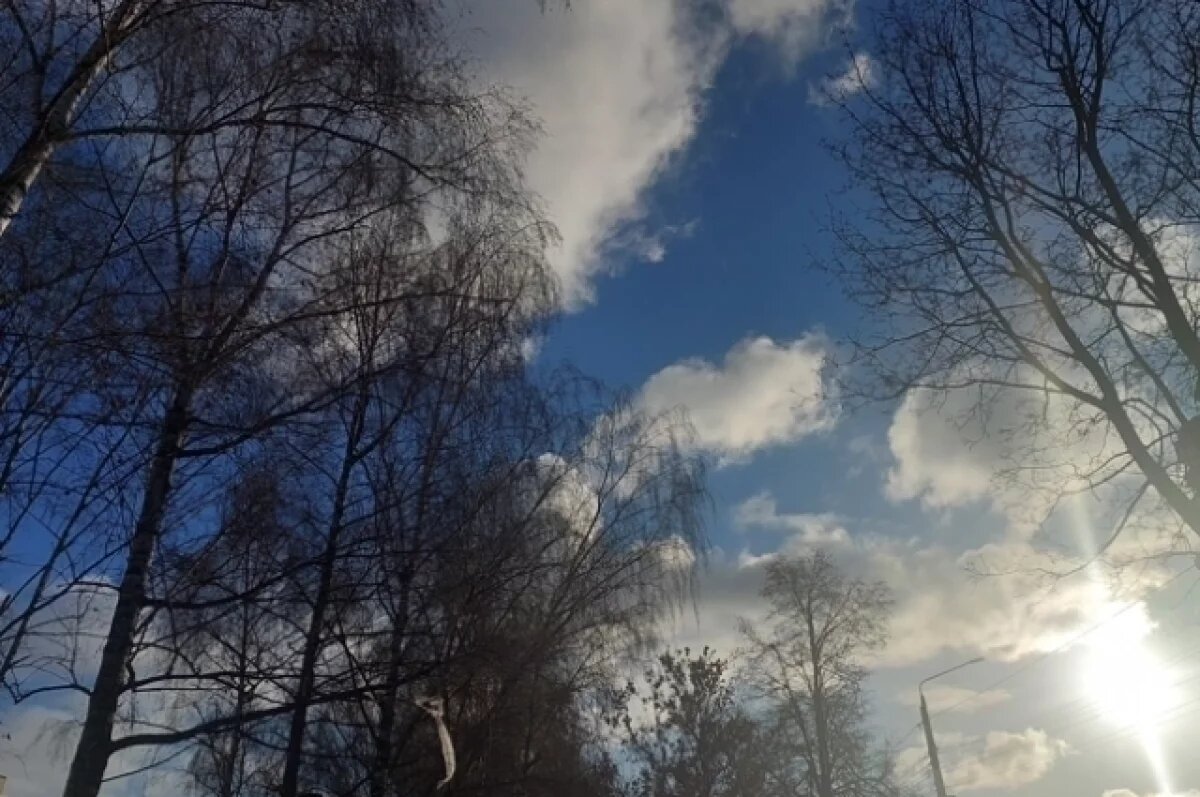    В Туле 16 марта ожидается безоблачная погода и до +8℃