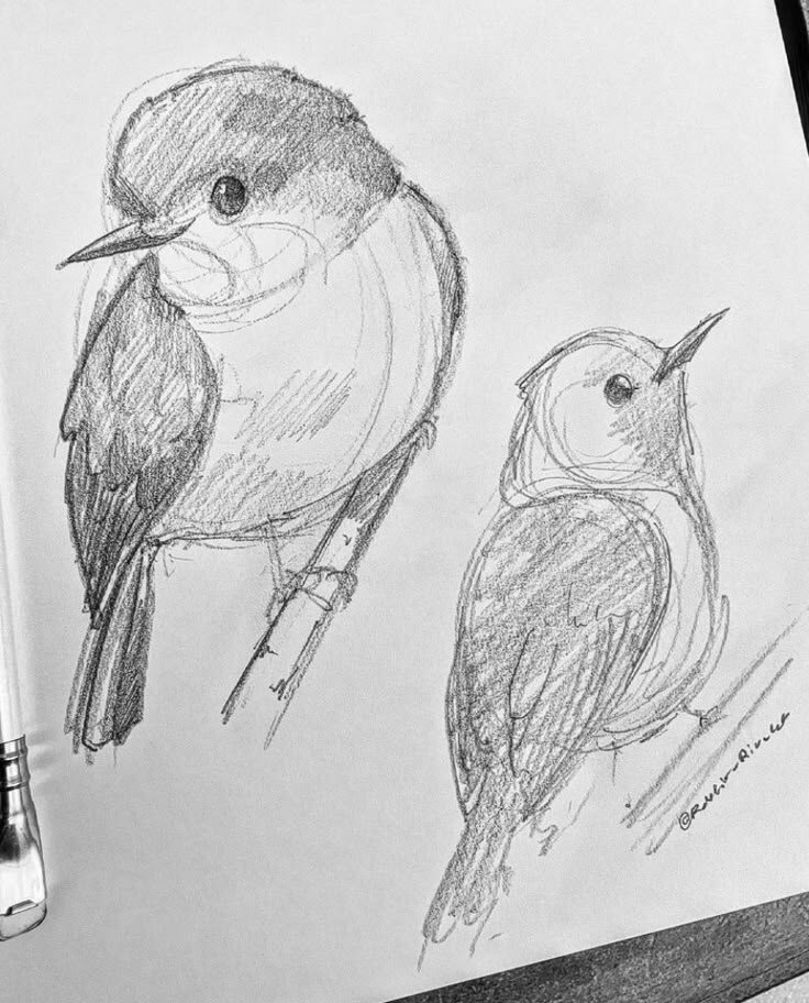 Пример зарисовки для начинающих