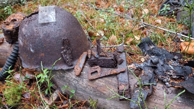 Фото: https://www.spb.kp.ru/online/news/4990535/