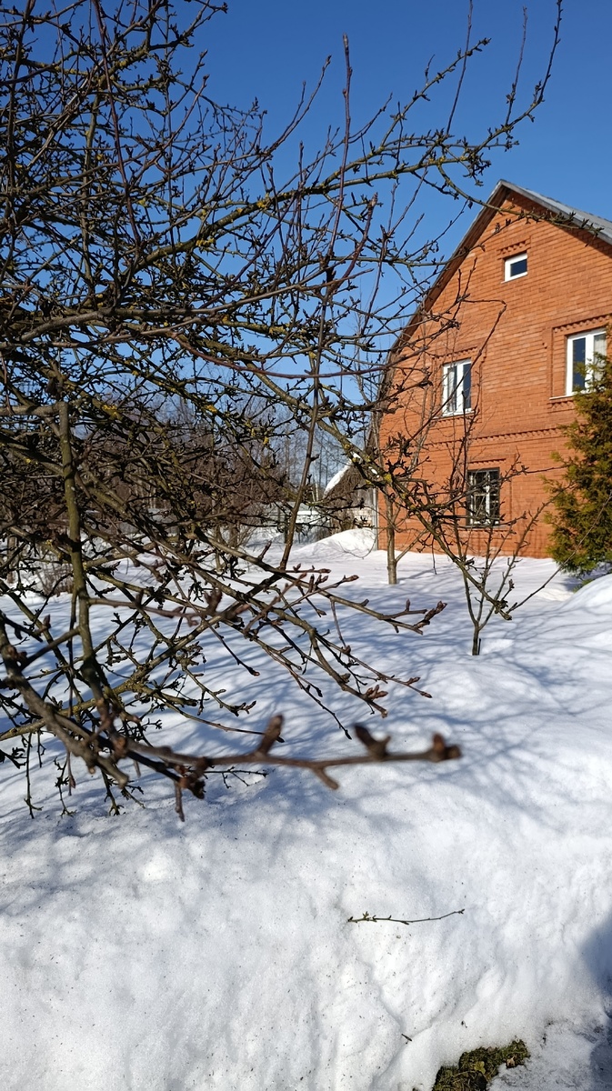 Сугробы тают на солнце, но они всё ещё большие