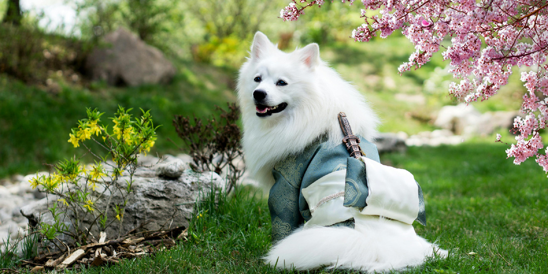 Весна: руководство по выживанию