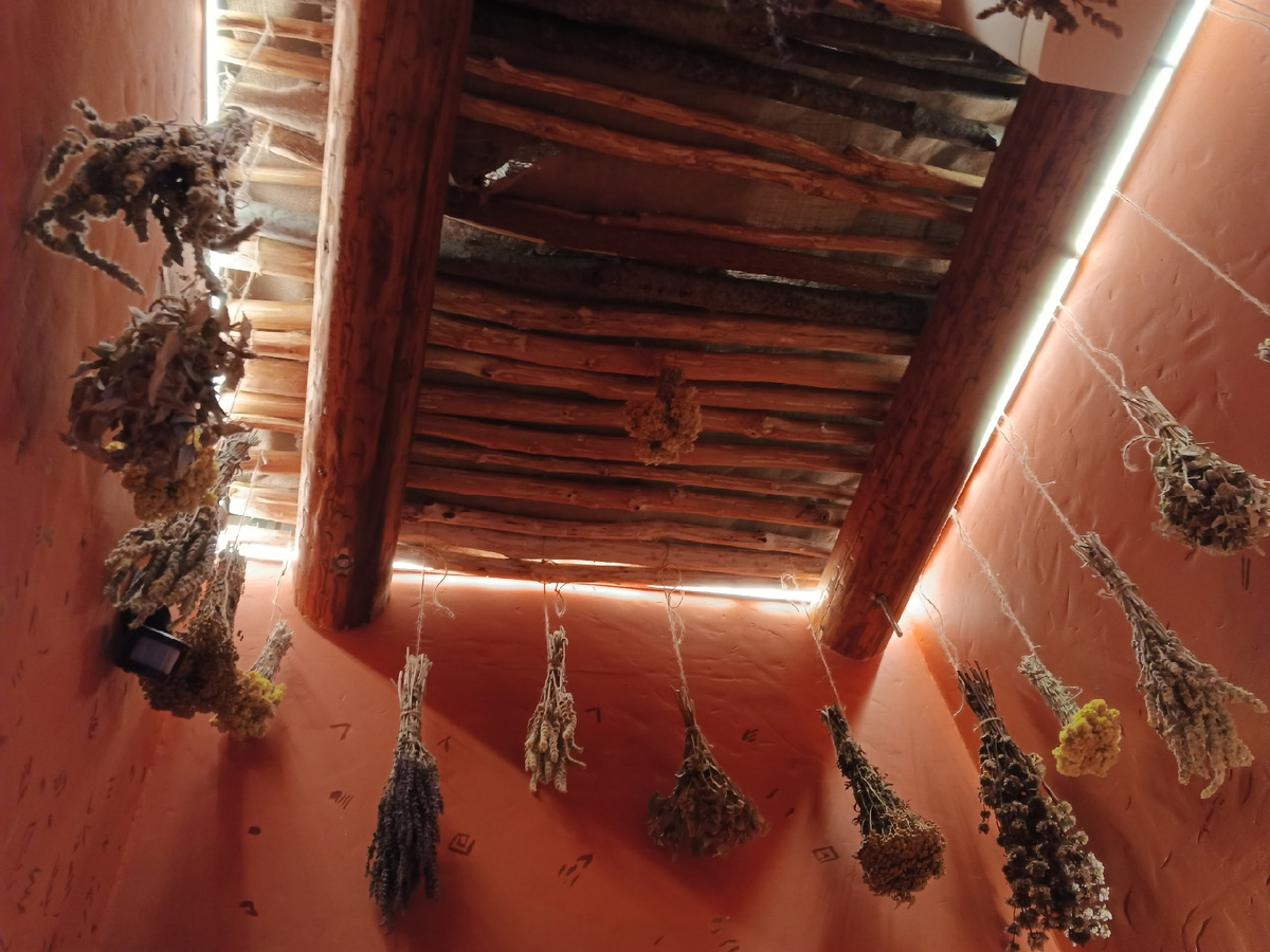 Фото Галины Малышевой.