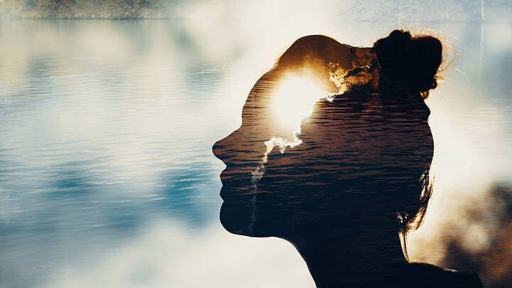  Фото: Shutterstock