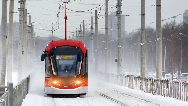    Фото: aappp/Shutterstock/Fotodom