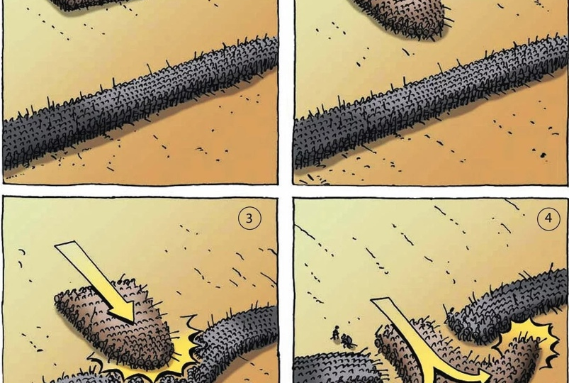 Самые известные боевые построения в истории