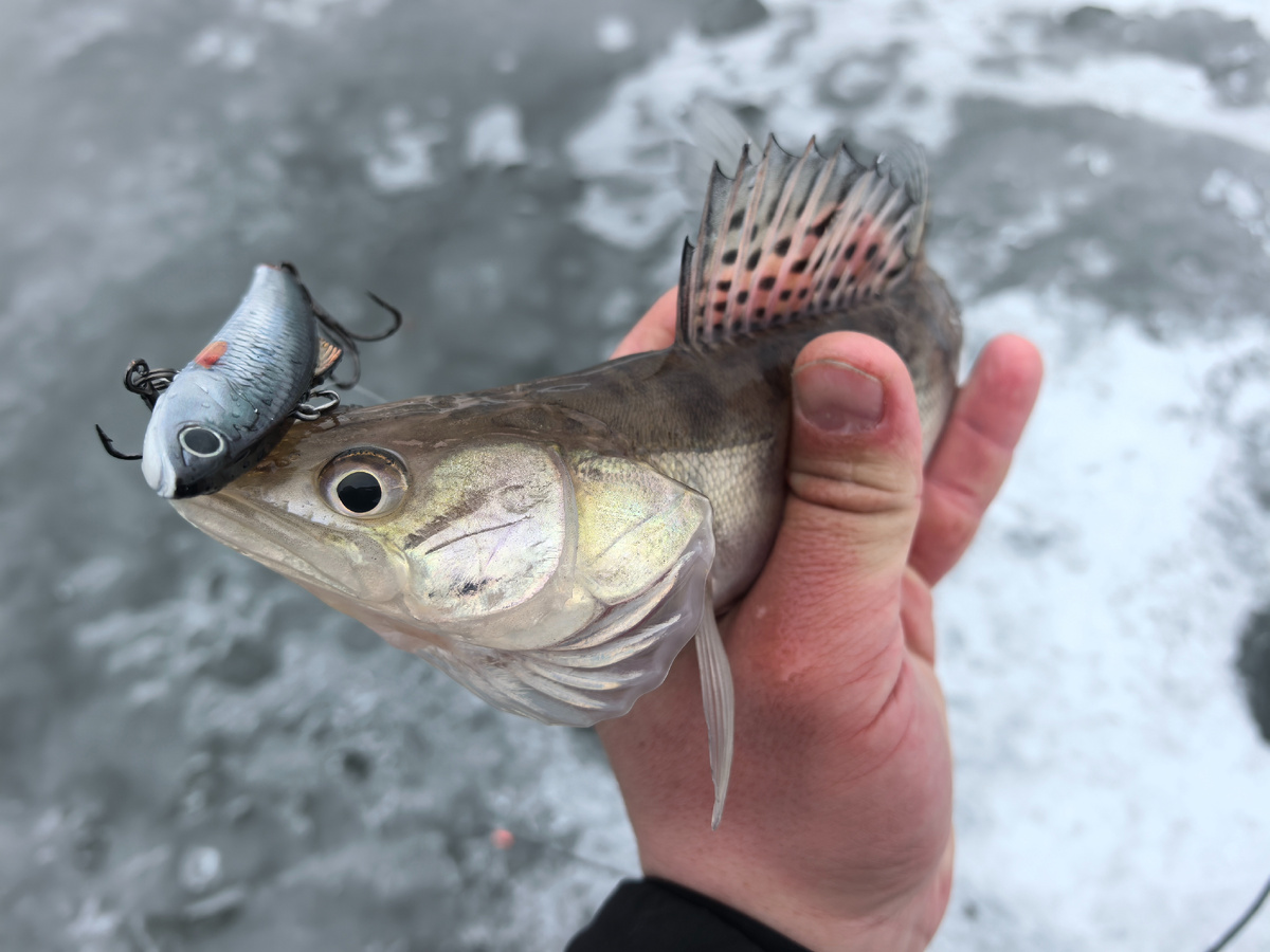 85 Кэнди виб в натуралке