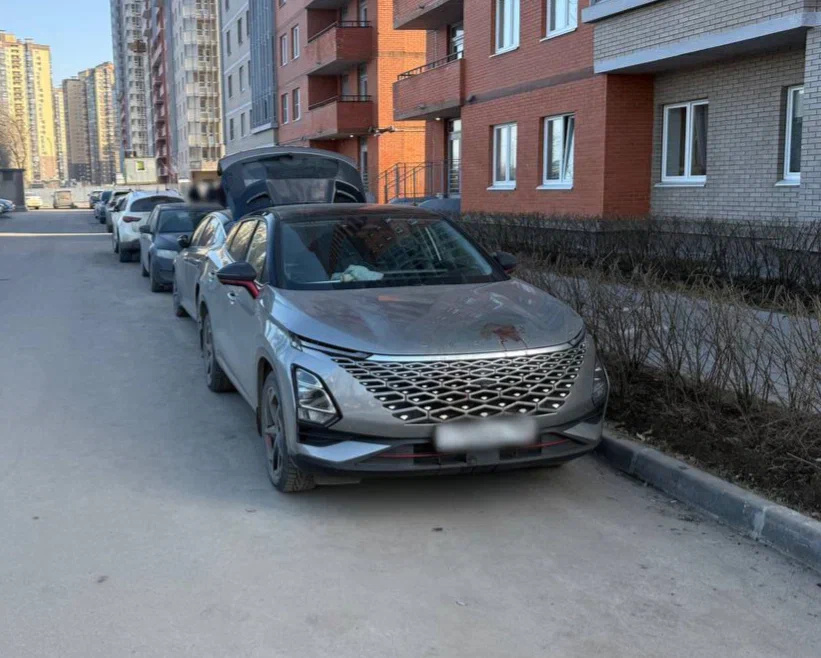    Фото: пресс-служба ГУ МВД России по Петербургу и Ленинградской области.