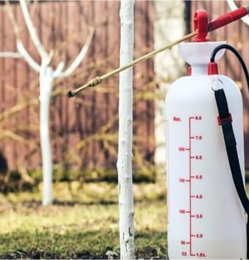 Заказать услуги Агрономов по обработке сада весной от вредителей в Москве и области по т. 8 495 669 52 23 или на сайте https://obrabotka-sada.ru