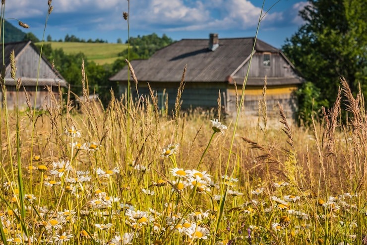 фото с сайта: https://yandex.ru/images/search?img_url=https%3A%2F%2Fimg.freepik.com%2Fpremium-photo%2Fwildflowers-near-houses-carpathians-village-mountains-sheaves-hay-ukrainian-carpathian-mountains-near-village-bukovetsin-summer_251376-2.jpg%3Fsemt%3Dais_hybrid%26w%3D740%26q%3D80&lr=35&pos=0&rpt=simage&source=serp&text=%D0%BB%D0%B5%D1%82%D0%BE%20%D0%B2%20%D0%B4%D0%B5%D1%80%D0%B5%D0%B2%D0%BD%D0%B5%20%D1%84%D0%BE%D1%82%D0%BE
