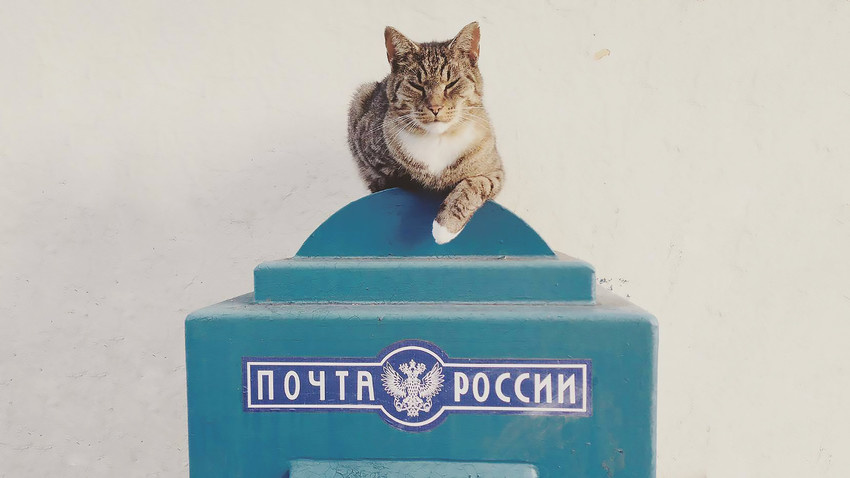 источник Яндекс-картинки