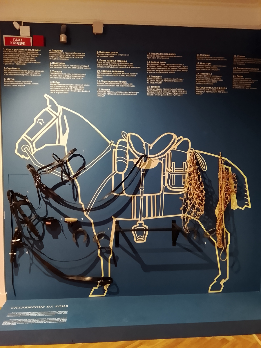 Обмундирование коня (фото автора)