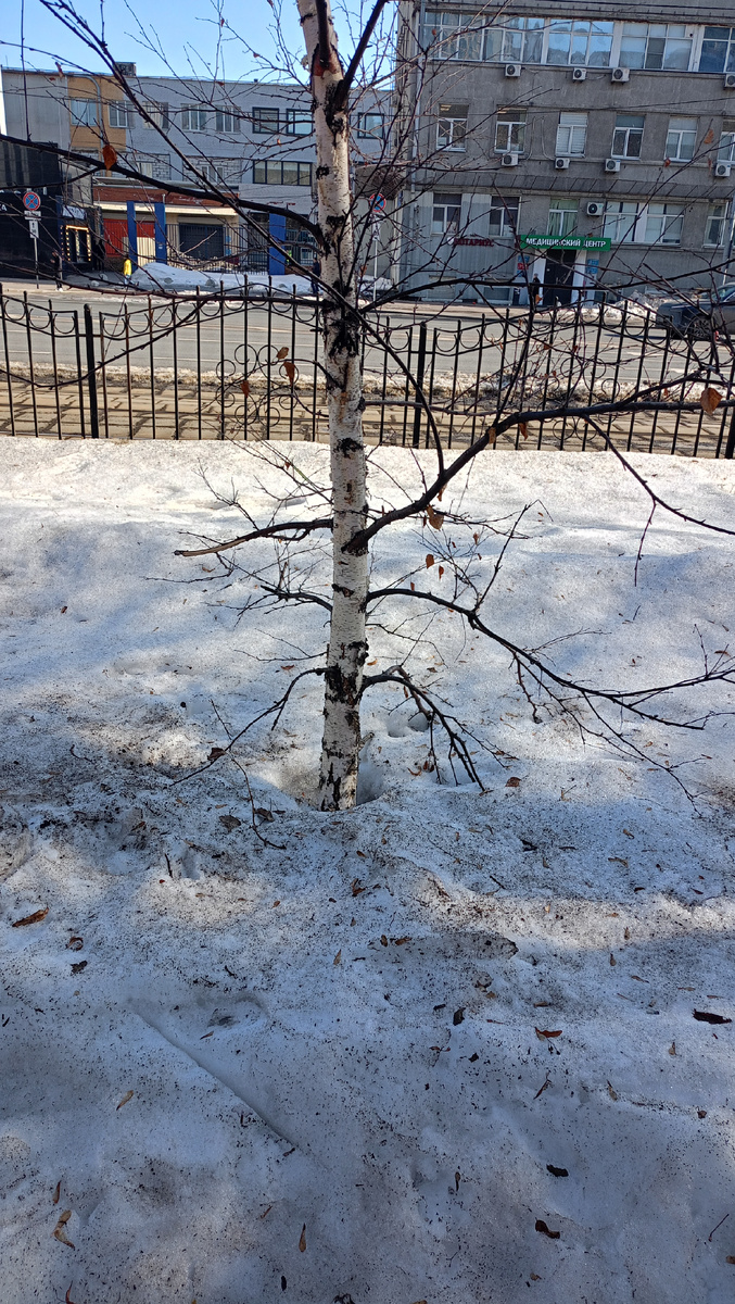 Фото автора. 