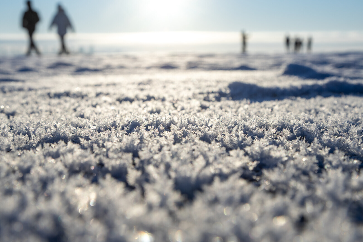 Автор: Олег Золото