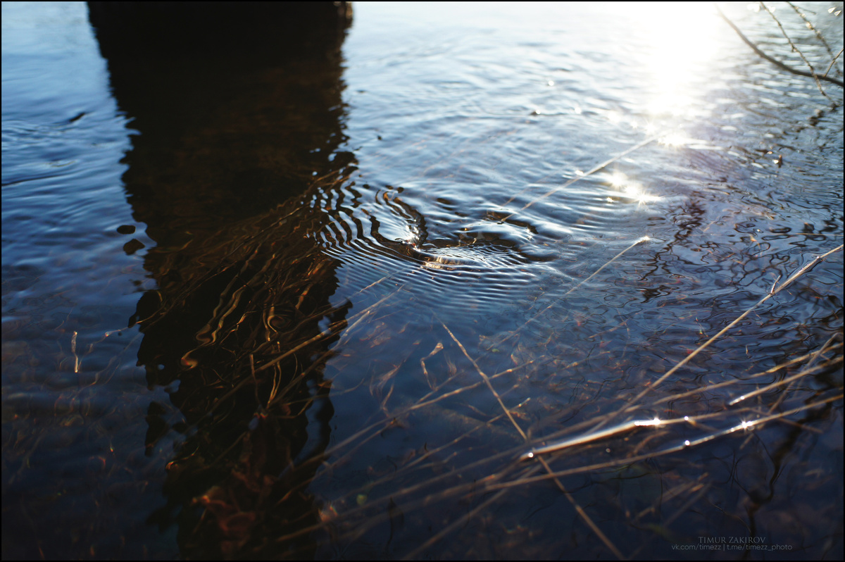 Здесь целых 6 фотографий, листайте >>