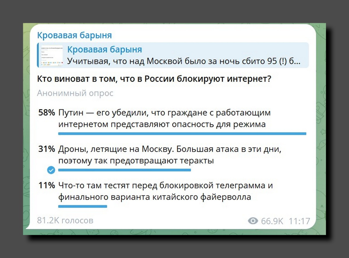 Скриншот https://t.me/bloodysx