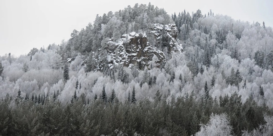 Бывший спецназовец исчез там же, где пропала семья Усольцевых
