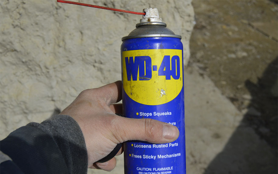 Фото: источник https://clck.ru/3SYXg8