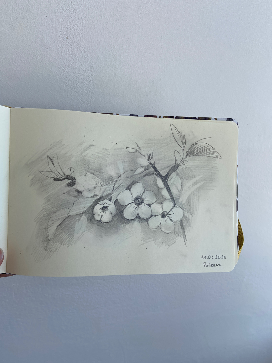 Цветы карандашом 