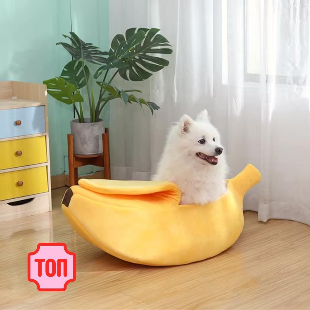 Банан-лежанка — один из самых популярных домиков для кошек на AliExpress.
