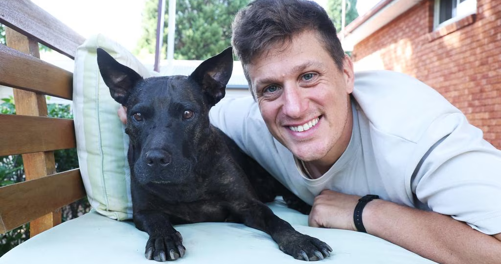 Человек спас собаку от рака с помощью ChatGPT. Учёные в шоке, опухоль уменьшилась вдвое 🐕💉