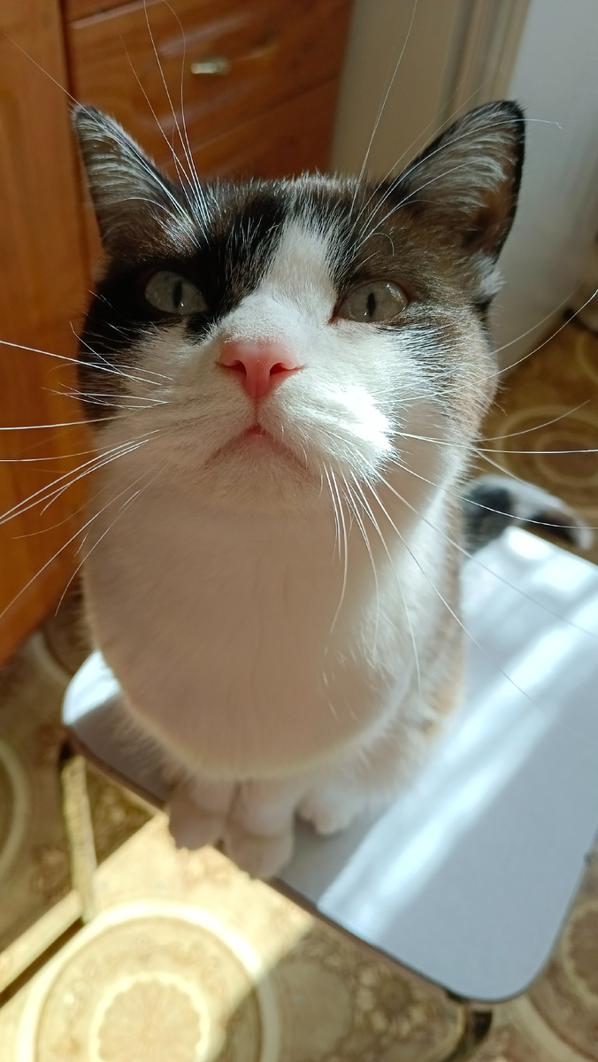 Вот так и соревнуемся, кто первый сядет.