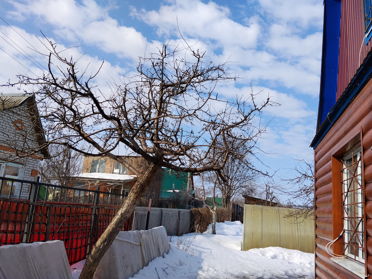 Процесс стрижки идёт. Фото автора.