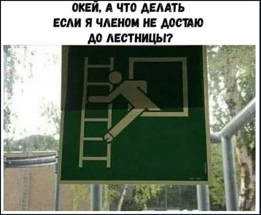 Изображение получено из открытых источников социальных сетей. https://vk.com/club206388128