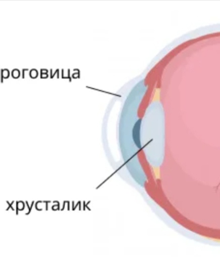 Изображение из Яндекс картинки 