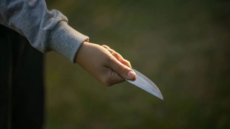    Фото: Svetliy/Shutterstock/Fotodom