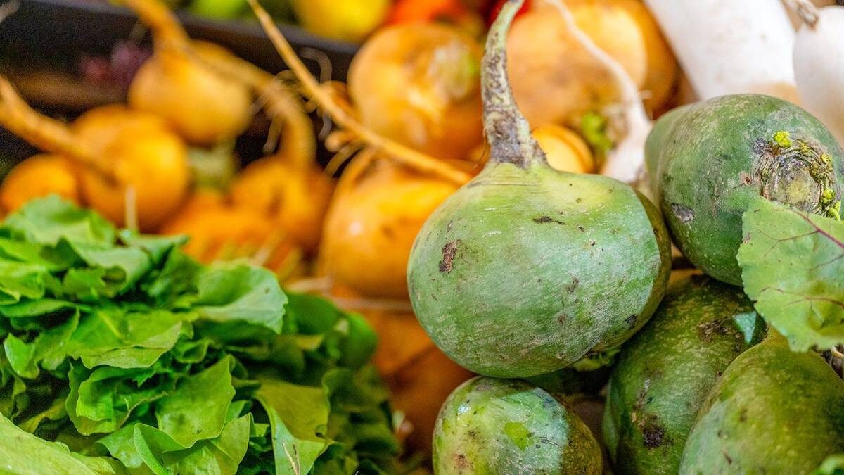    Фото: Пресс-служба Департамента торговли и услуг города Москвы