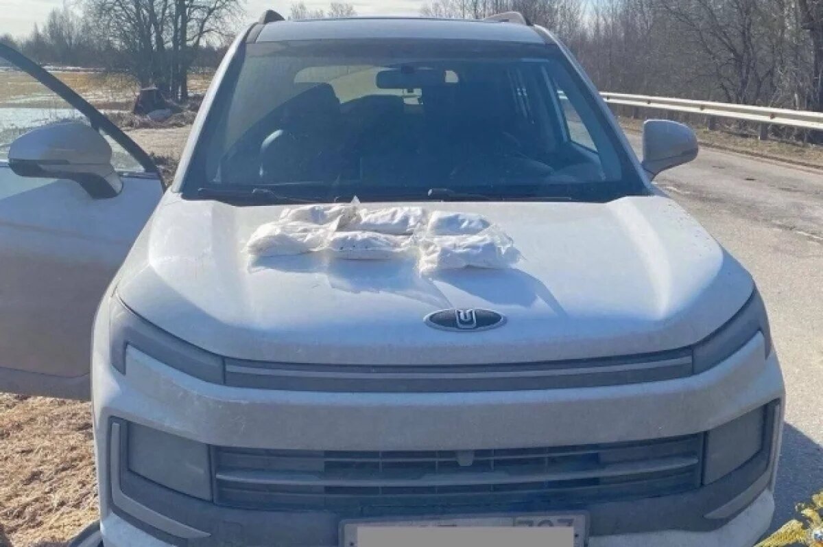    В Ленобласти полиция нашла рюкзак с наркотиками в каршеринге