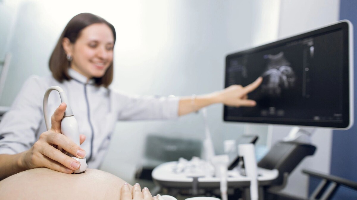    Фото: Desizned/Shutterstock/Fotodom