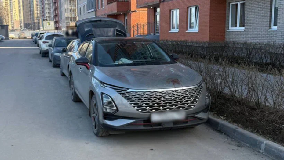    Пятилетний мальчик погиб в Усть-Славянке под колёсами машины своего отца Автор фото: Пресс-служба ГУ МВД России по Петербургу