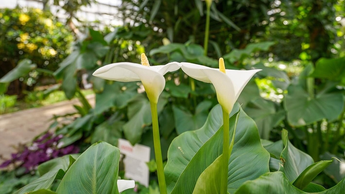    Источник: Евгений Самарин. Mos.ru