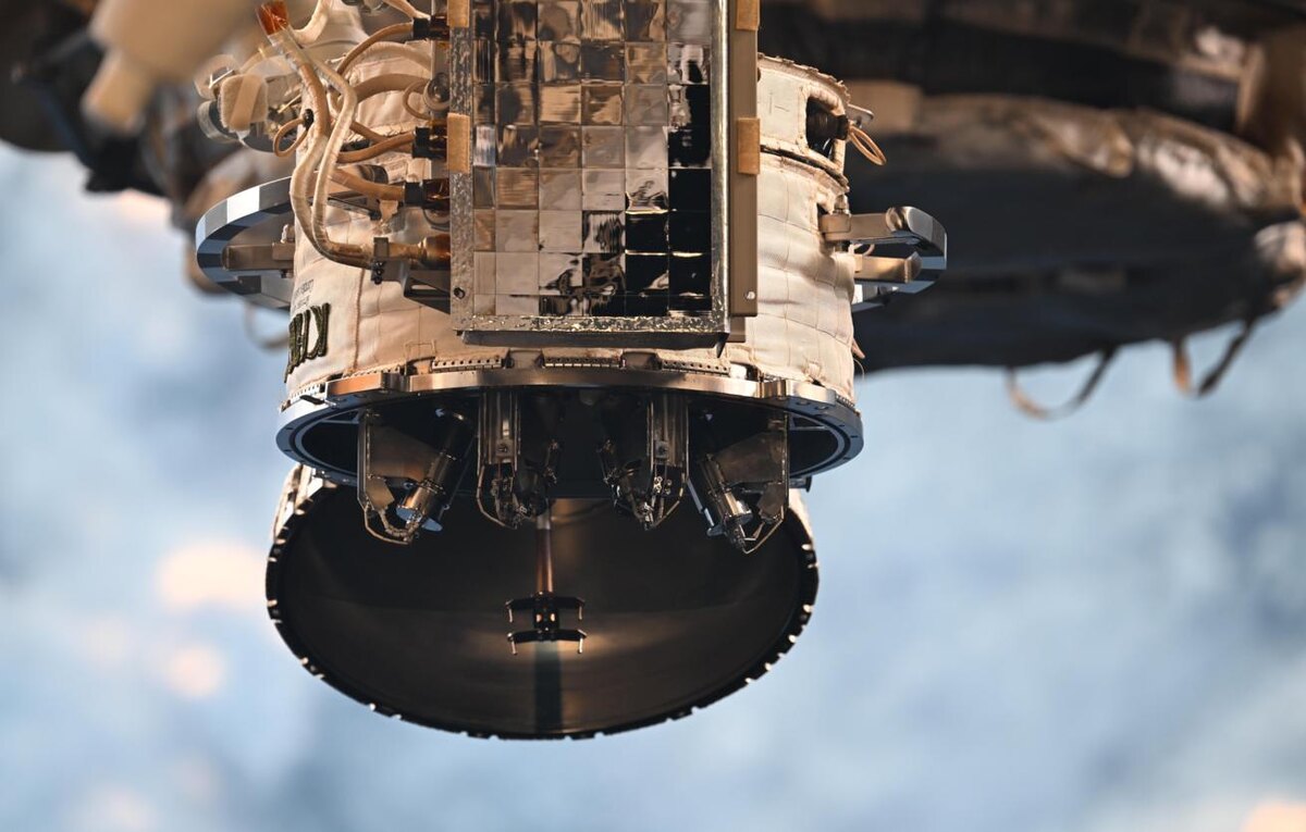 Фото: Сергей Кудь-Сверчков/ ТАСС  📷
