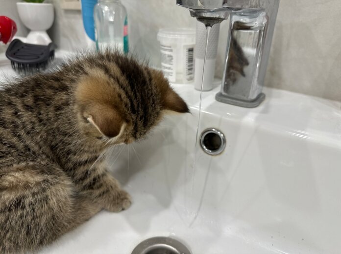    Фото: Катерина Заякина