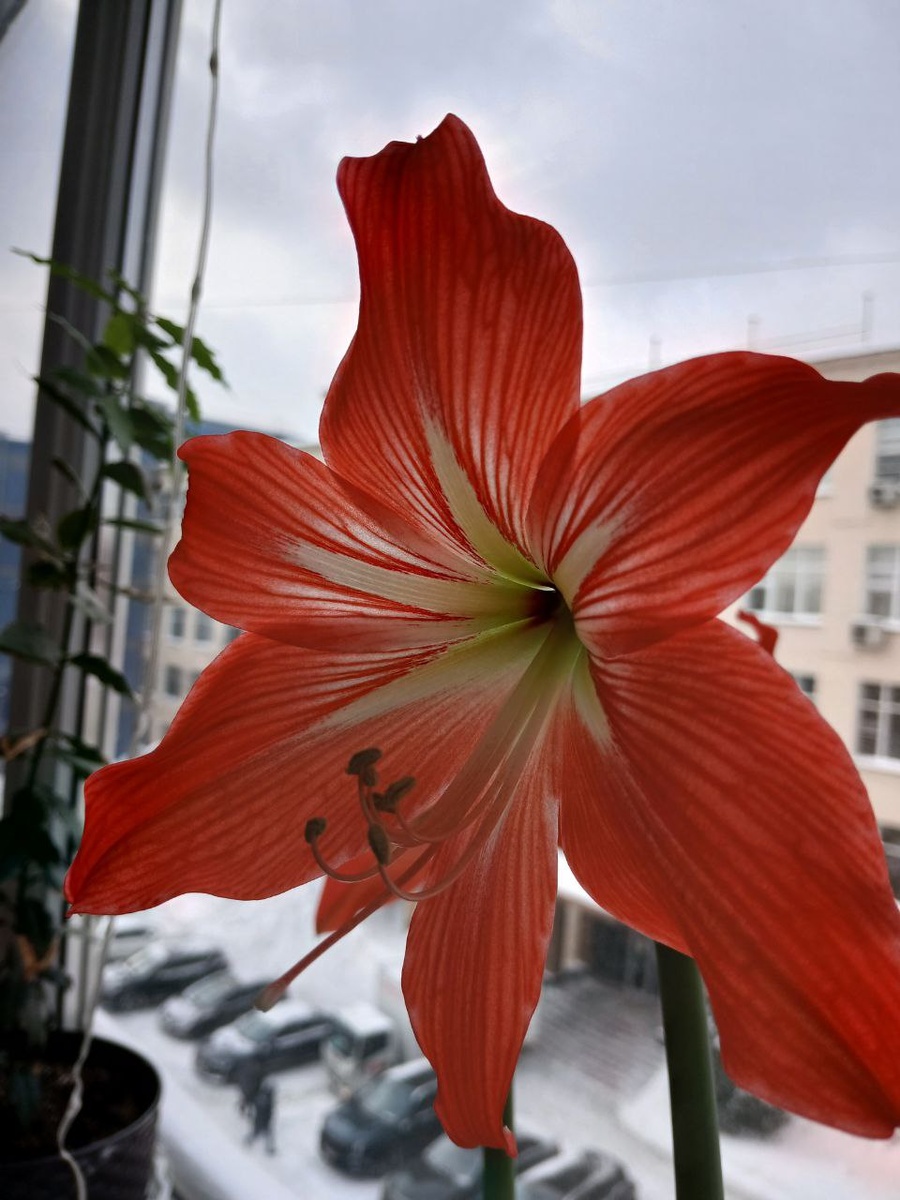 Не знаю, как называется. 