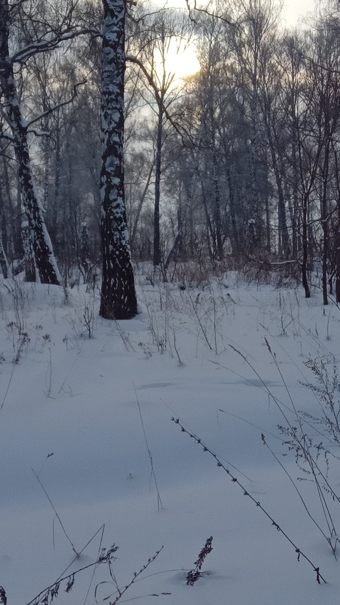 День сдает позиции, надвигающемуся вечеру.