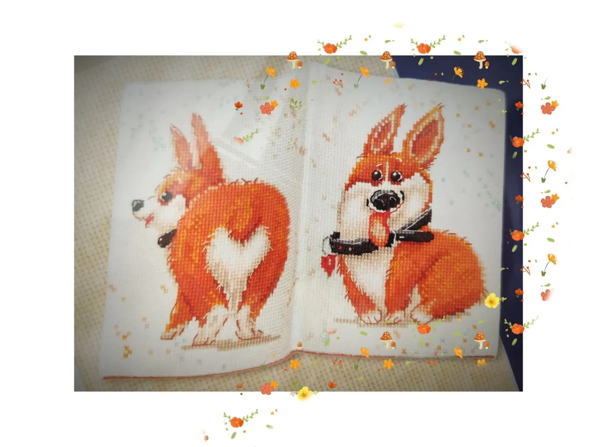 Фото автора, 15 февраля 2026 год.