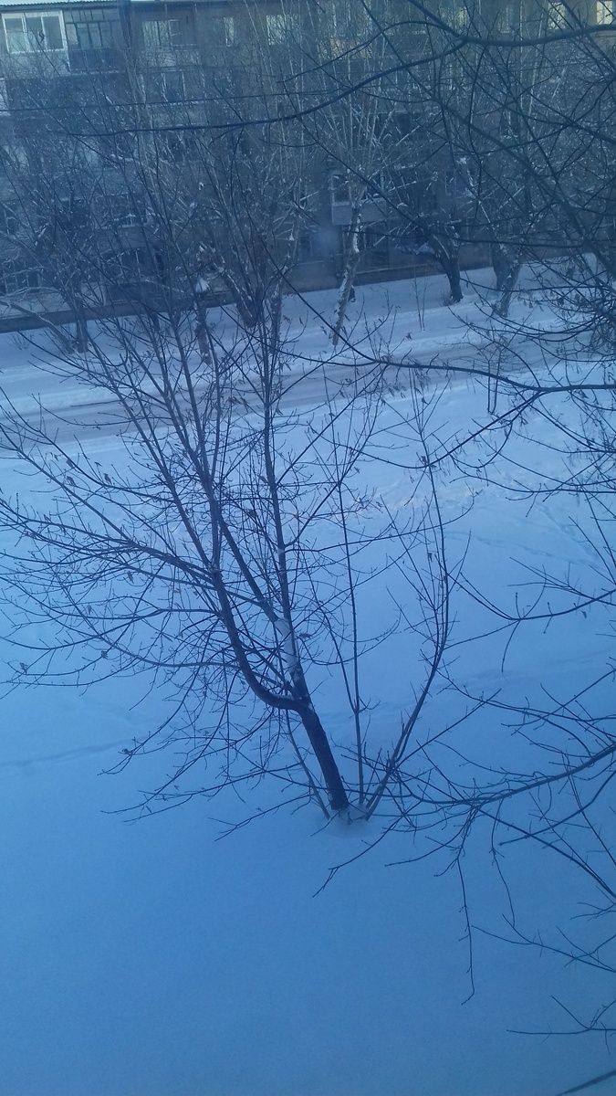 Сегодня такая погода в Красноярске. Фото автора.