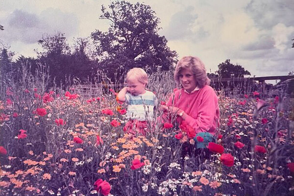 соцсети   📷