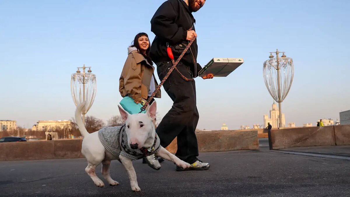    Погода. Ярослав Чингаев / АГН Москва
