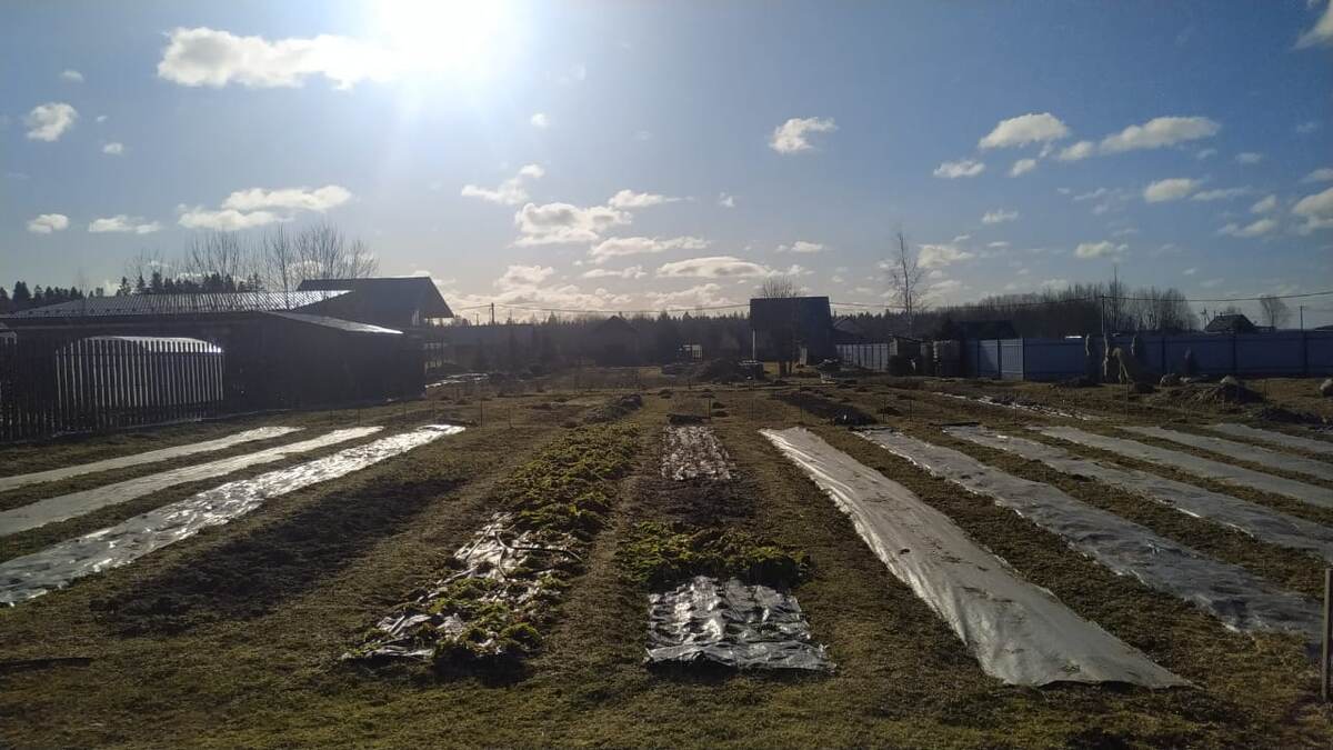 Весеннее солнце припекает и мы готовим цветочные грядки к новому сезону